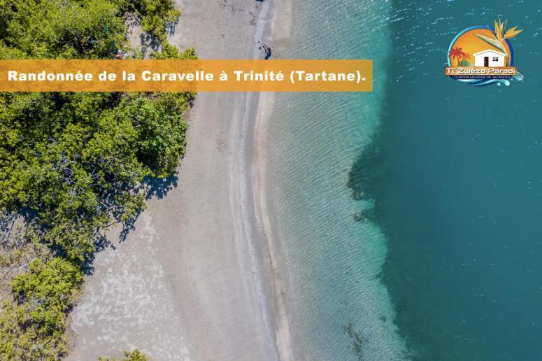 F3 Hibiscus - Piscine Chauffee - Vue Mer - 9 Min De La Plage - Ti Zwezo Paradi La Trinité Buitenkant foto