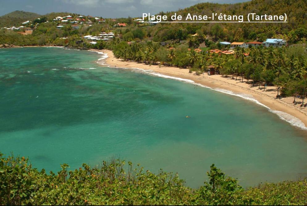 F3 Hibiscus - Piscine Chauffee - Vue Mer - 9 Min De La Plage - Ti Zwezo Paradi La Trinité Buitenkant foto