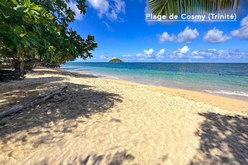 F3 Hibiscus - Piscine Chauffee - Vue Mer - 9 Min De La Plage - Ti Zwezo Paradi La Trinité Buitenkant foto