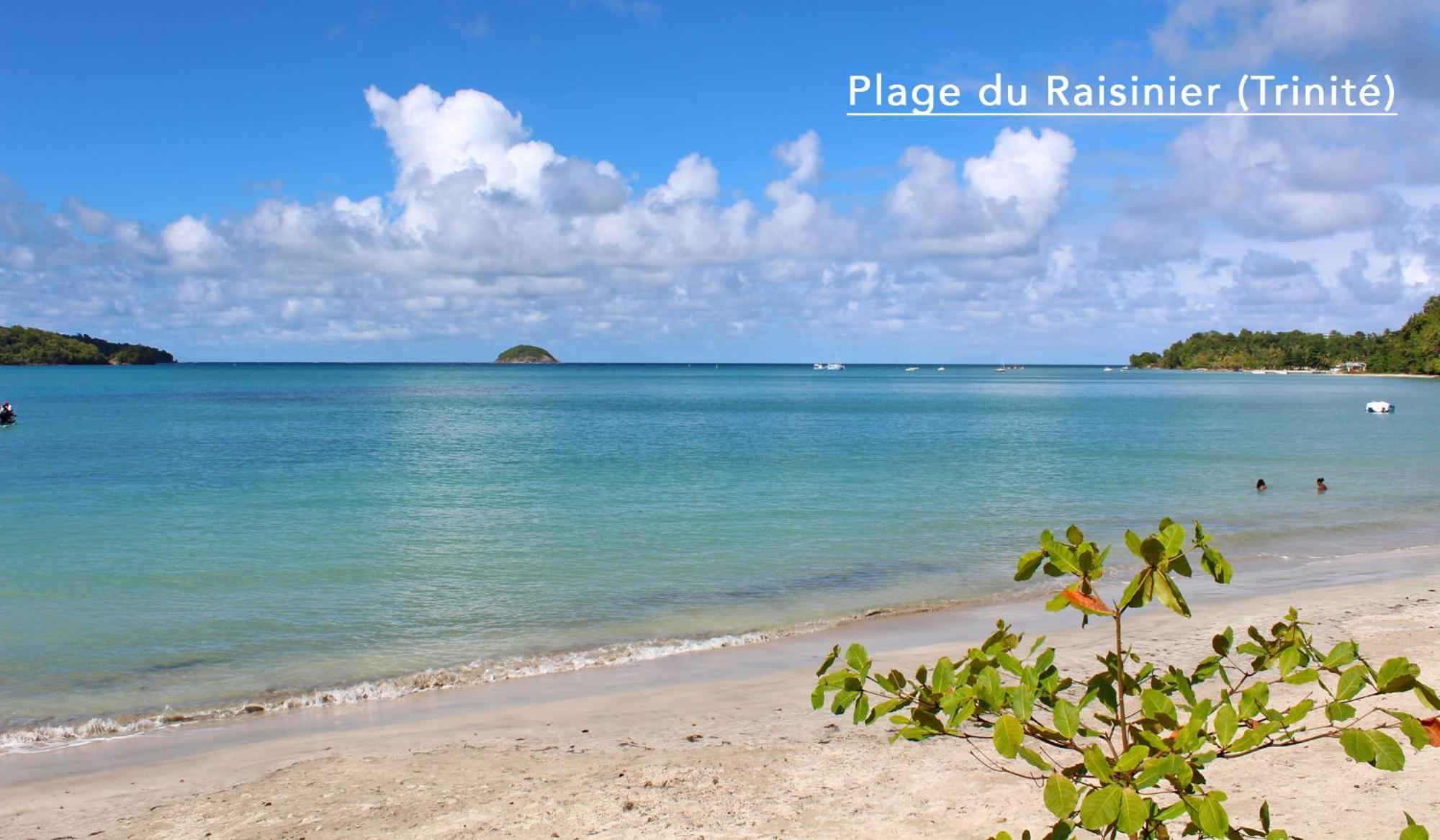 F3 Hibiscus - Piscine Chauffee - Vue Mer - 9 Min De La Plage - Ti Zwezo Paradi La Trinité Buitenkant foto